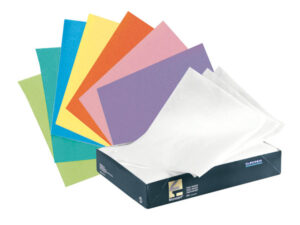 TP250 PAPEL ABSORB.BANDEJ.250u BLANCO