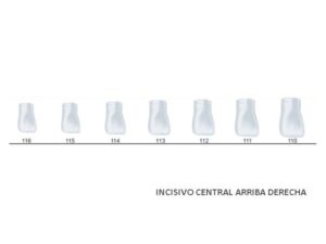 ST5K111 CORONA ACETATO CENTRAL SUP. DCHA. 5u.