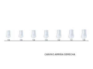 ST5K132 CORONA ACETATO CANINO SUP. DCHA. 5u.