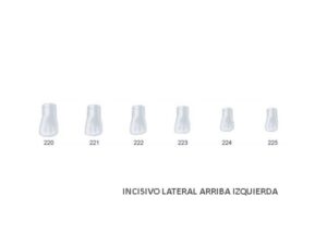 ST5K220 CORONA ACETATO LATERAL SUP. IZQ. 5u.