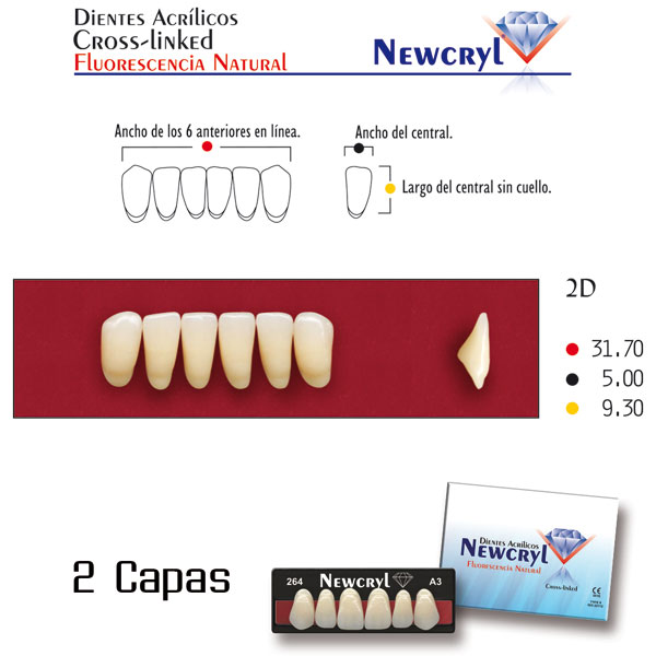 DIENTES NEWCRYL-VITA 2D LO D3 - Dentalis Iberia