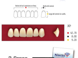 DIENTES NEWCRYL-VITA 3D UP A3.5