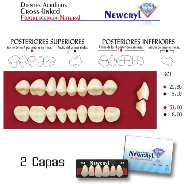 DIENTES NEWCRYL-VITA 30L UP D3 - Dentalis Iberia