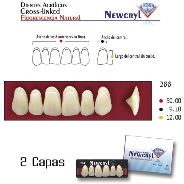 DIENTES NEWCRYL-VITA 266 UP A1 - Dentalis Iberia