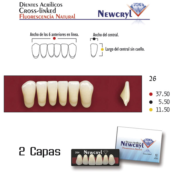 DIENTES NEWCRYL-VITA 26 LO A2 - Dentalis Iberia