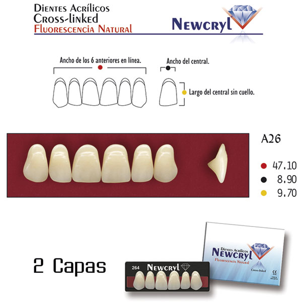 DIENTES NEWCRYL-VITA A26 UP B2 - Dentalis Iberia