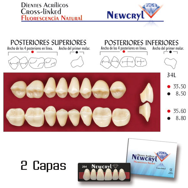 DIENTES NEWCRYL-VITA 34L LO C2 - Dentalis Iberia