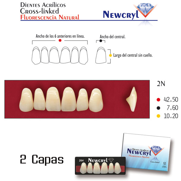 DIENTES NEWCRYL-VITA 2N UP C3 - Dentalis Iberia