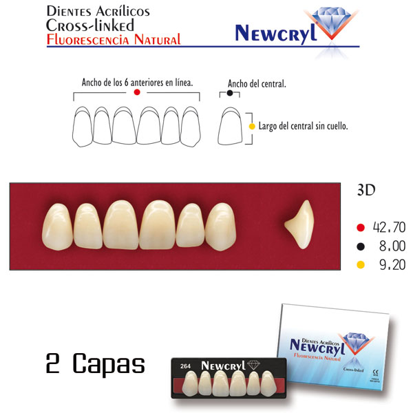 DIENTES NEWCRYL-VITA 3N UP C3 - Dentalis Iberia