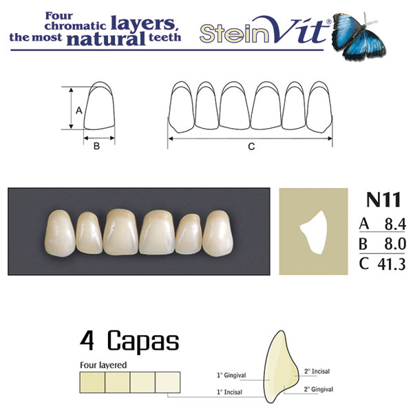 DIENTES STEINVIT N11 UP A2 - Dentalis Iberia