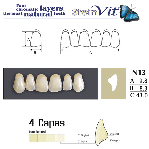 DIENTES STEINVIT N13 UP A2 - Dentalis Iberia