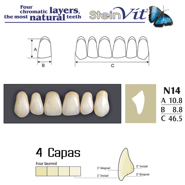 DIENTES STEINVIT N14 UP A2 - Dentalis Iberia