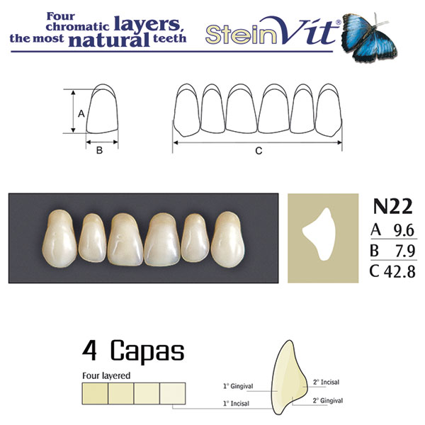 DIENTES STEINVIT N22 UP A2 - Dentalis Iberia