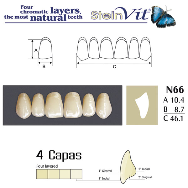 DIENTES STEINVIT N66 UP A2 - Dentalis Iberia