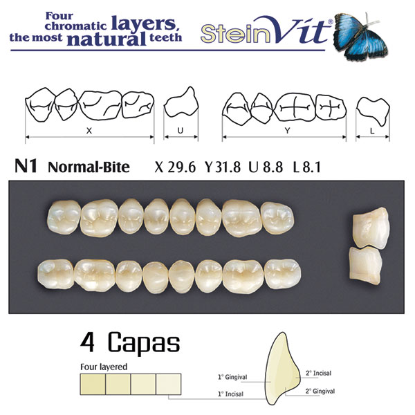 DIENTES STEINVIT N1 LO A2 - Dentalis Iberia