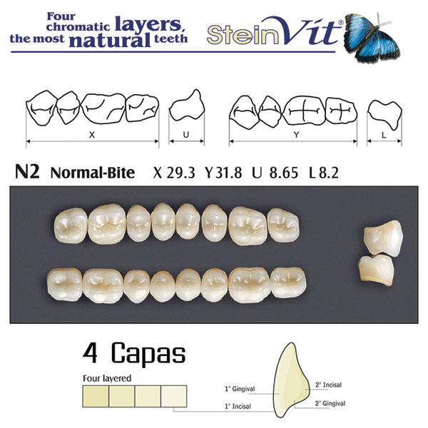 DIENTES STEINVIT N2 LO A3.5 - Dentalis Iberia