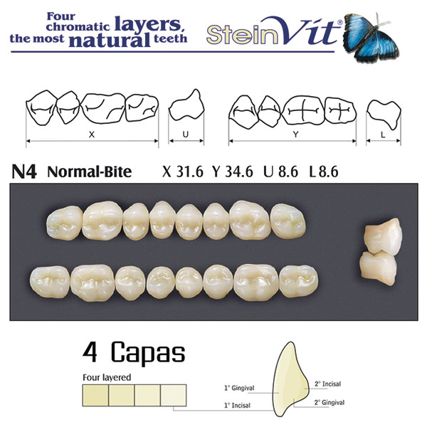 DIENTES STEINVIT N4 LO A2 - Dentalis Iberia