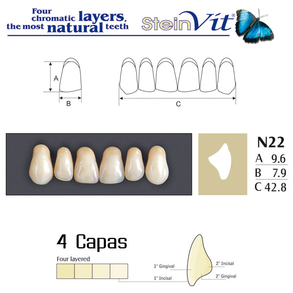 DIENTES STEINVIT N22 UP A1 - Dentalis Iberia