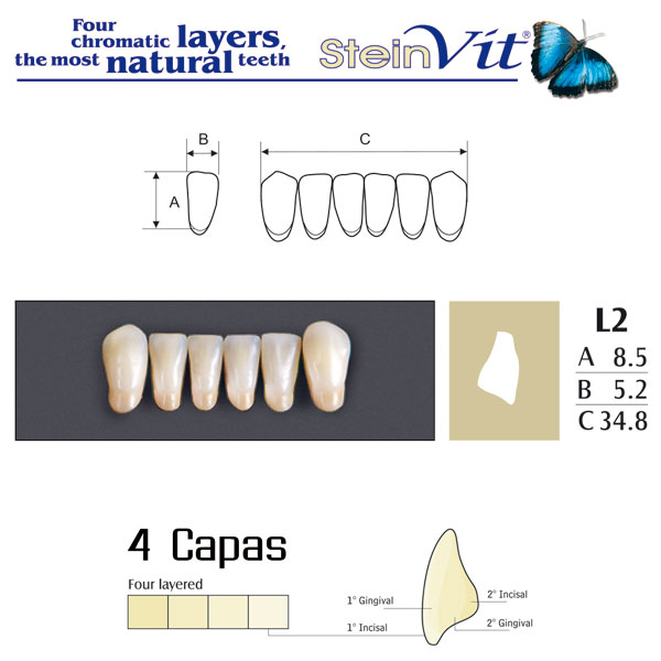 DIENTES STEINVIT L2 LO A1 - Dentalis Iberia