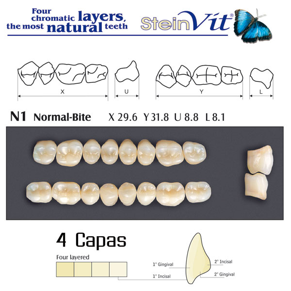 DIENTES STEINVIT N1 LO B2 - Dentalis Iberia