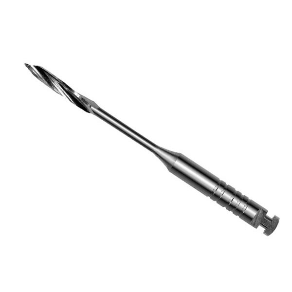 PEESO-ENSAN.19mm.004 AR.183 6u - Dentalis Iberia